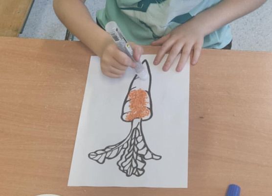 Grafika 5: ŻYWA LEKCJA W KLASIE II a