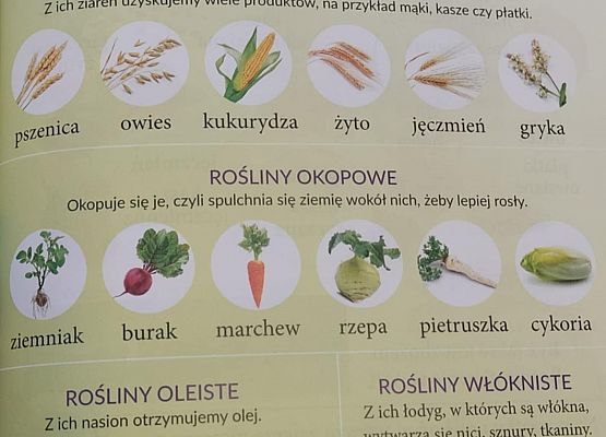 Grafika 11: ŻYWA LEKCJA W KLASIE II a