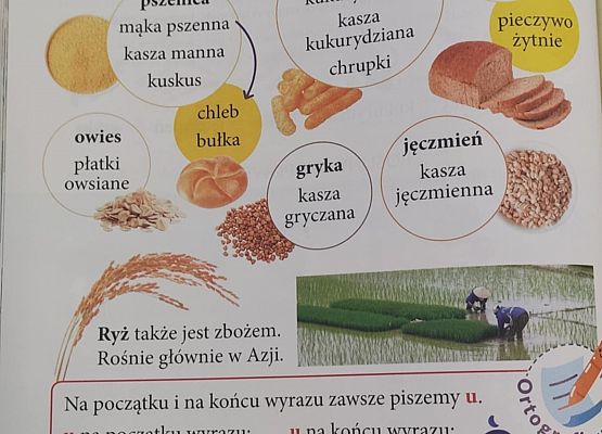 Grafika 6: ŻYWA LEKCJA W KLASIE II a