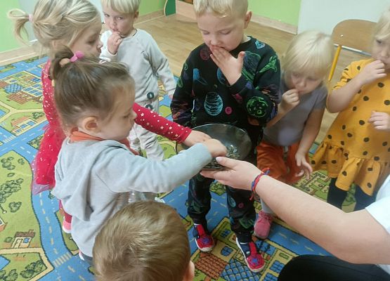 Dzień Dyni w grupie młodszej