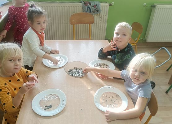 Dzień Dyni w grupie młodszej