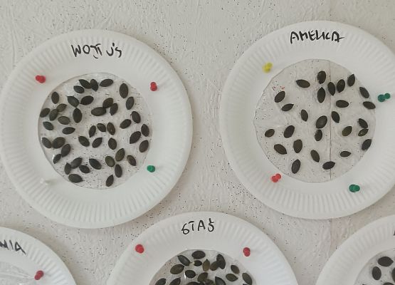 Dzień Dyni w grupie młodszej