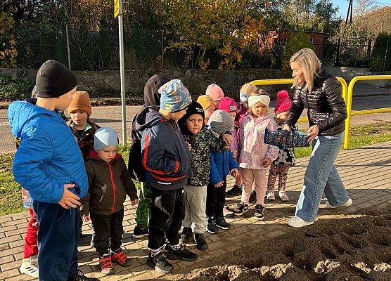 Grafika 7: POLA NADZIEI