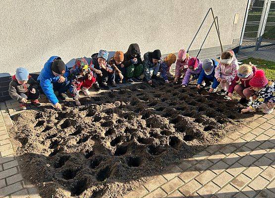 Grafika 1: POLA NADZIEI