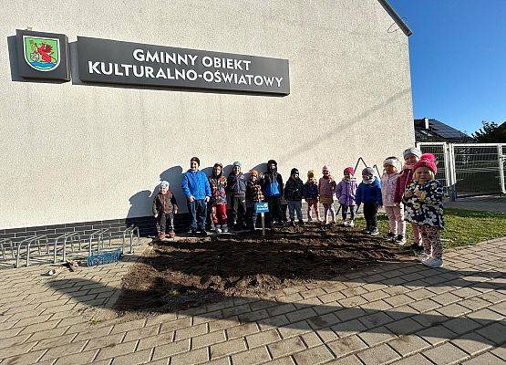 Grafika 6: POLA NADZIEI