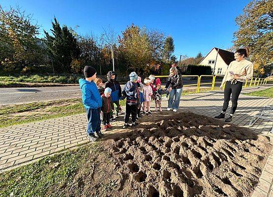 Grafika 2: POLA NADZIEI