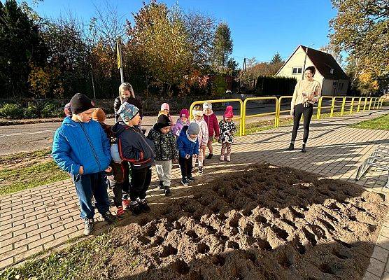 Grafika 3: POLA NADZIEI