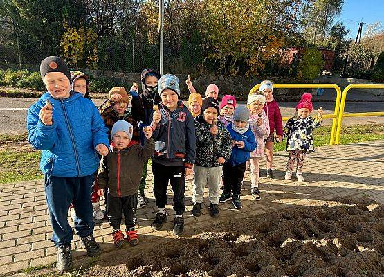 Grafika 4: POLA NADZIEI