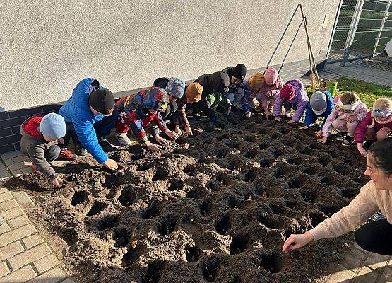 Grafika 5: POLA NADZIEI