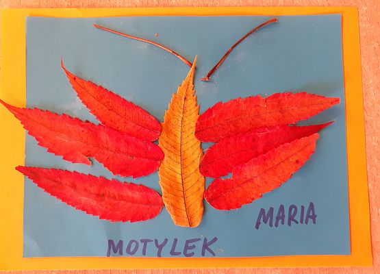 Grafika 8: PRACUSIE W AKCJI