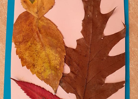 Grafika 11: PRACUSIE W AKCJI