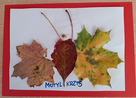 Grafika 13: PRACUSIE W AKCJI