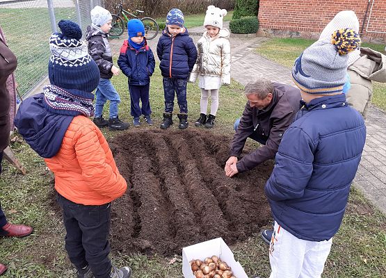 Grafika 2: SADZIMY ŻONKILE