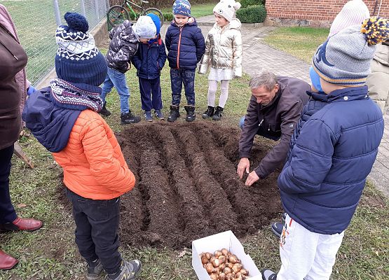 Grafika 4: SADZIMY ŻONKILE