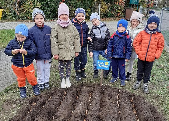 Grafika 1: SADZIMY ŻONKILE