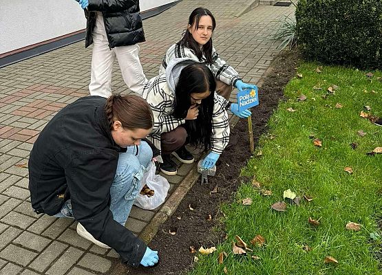 Grafika 1: POLA NADZIEI