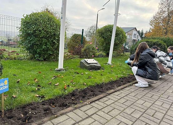 Grafika 5: POLA NADZIEI