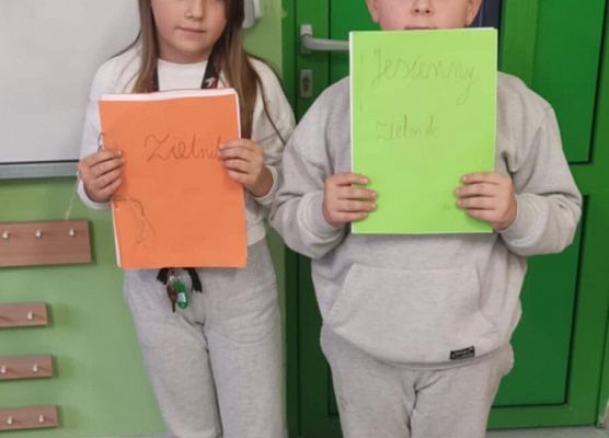 Grafika 3: JESIENNE ZIELNIKI