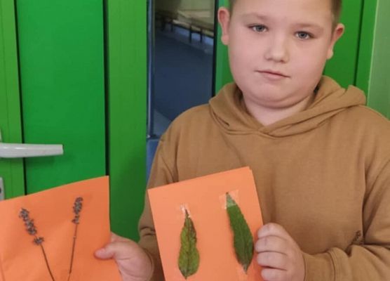 Grafika 11: JESIENNE ZIELNIKI