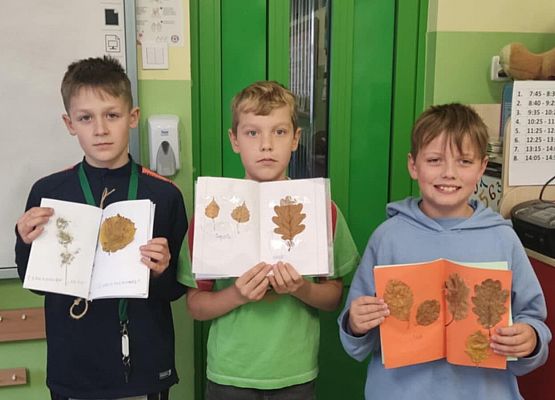 Grafika 7: JESIENNE ZIELNIKI