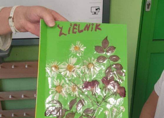 Grafika 4: JESIENNE ZIELNIKI