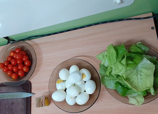 Młodsza grupa - regaty na liściach sałaty