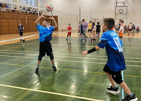 Grafika 4: WOJEWÓDZKA LIGA MINI PIŁKI SIATKOWEJ CHŁOPCÓW