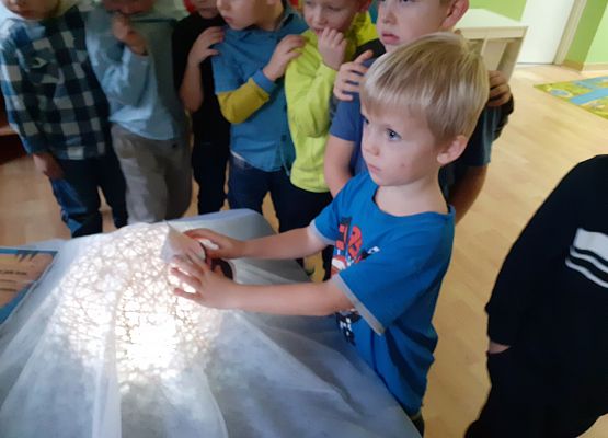 Andrzejki w przedszkolu