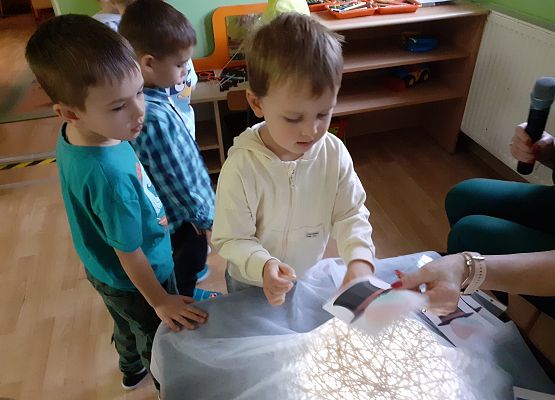 Andrzejki w przedszkolu