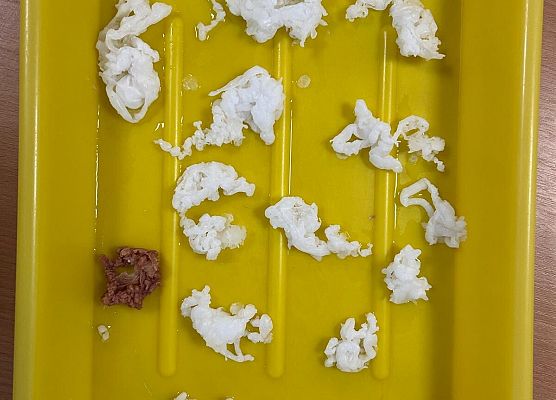 Grafika 31: ANDRZEJKI