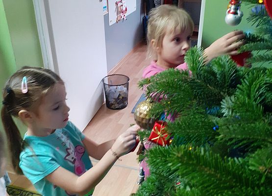 Stroimy choinkę