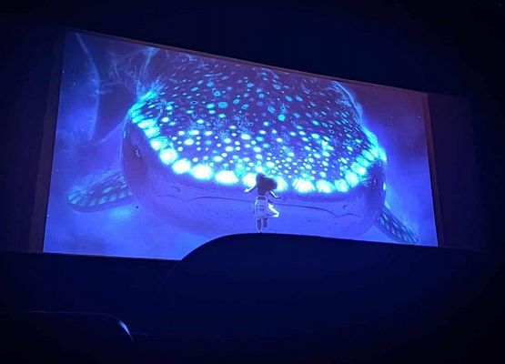 Grafika 1: WYJAZD DO KINA