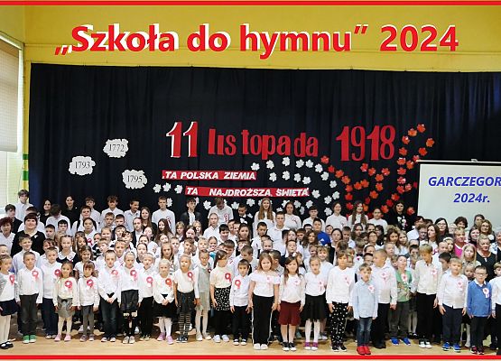 Grafika 1: 11 listopada