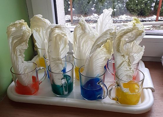 Eksperymenty w młodszej grupie