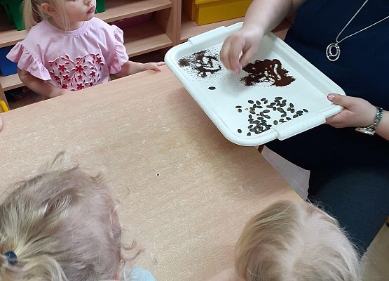 Eksperymenty w młodszej grupie