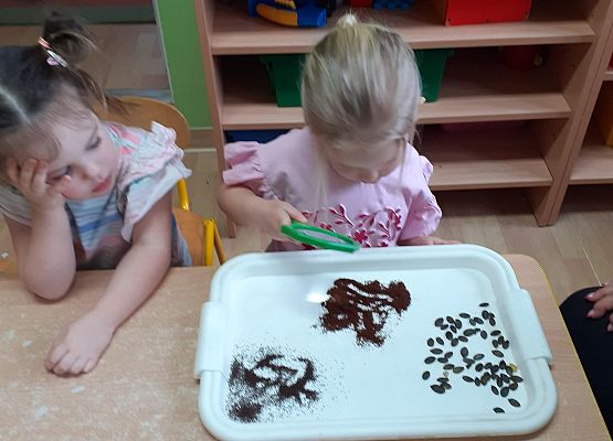 Eksperymenty w młodszej grupie