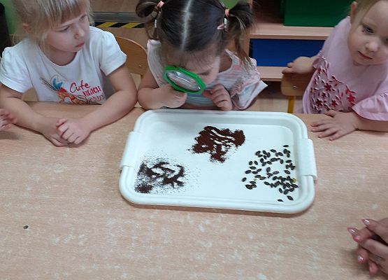 Eksperymenty w młodszej grupie