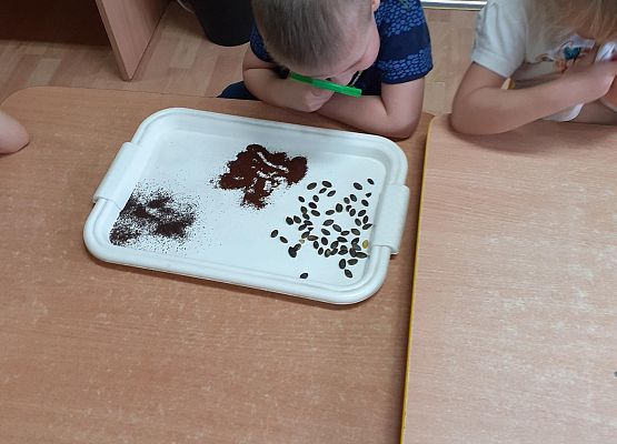 Eksperymenty w młodszej grupie