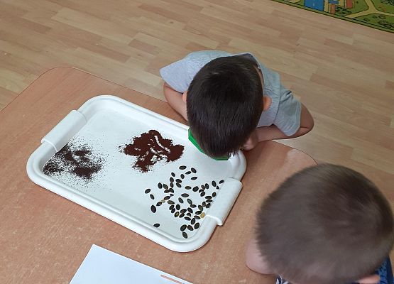 Eksperymenty w młodszej grupie