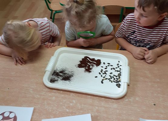 Eksperymenty w młodszej grupie