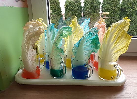 Eksperymenty w młodszej grupie