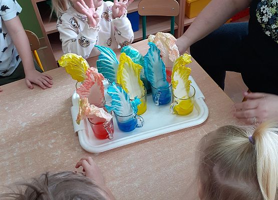 Eksperymenty w młodszej grupie