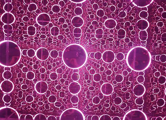 Grafika 2: Wycieczka do Gdańska