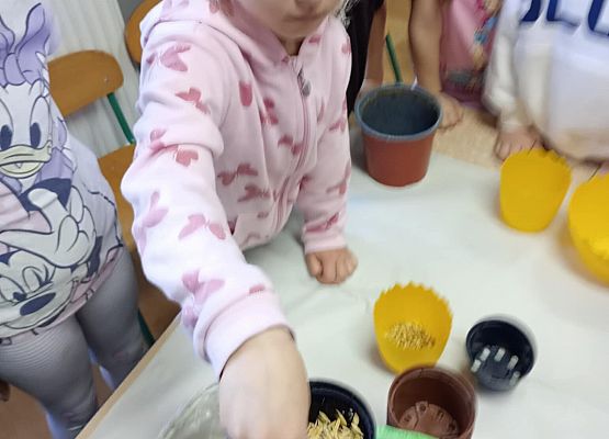 Prace starszej grupy