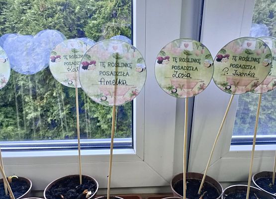 Prace starszej grupy