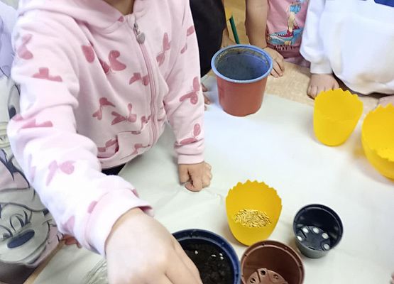 Prace starszej grupy