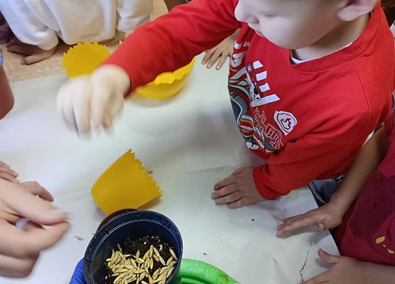 Prace starszej grupy