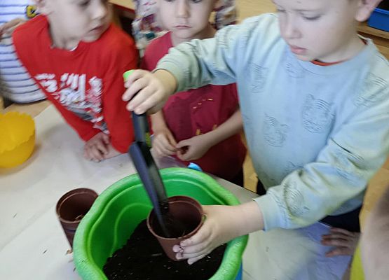 Prace starszej grupy