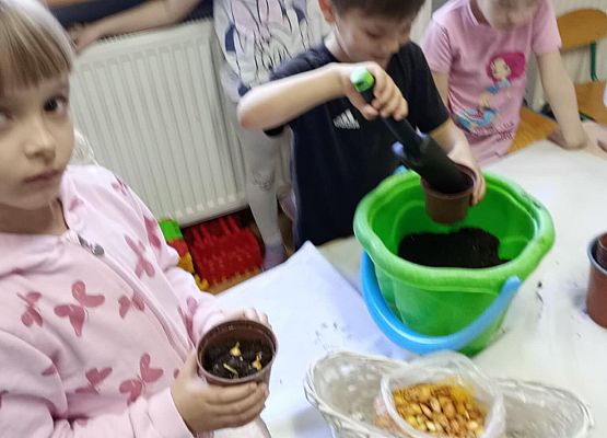 Prace starszej grupy