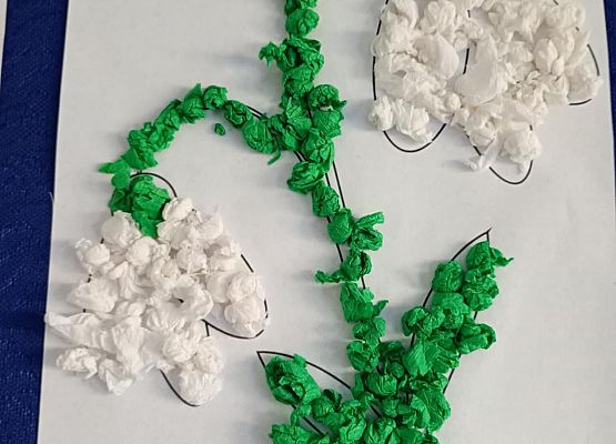 Prace starszej grupy